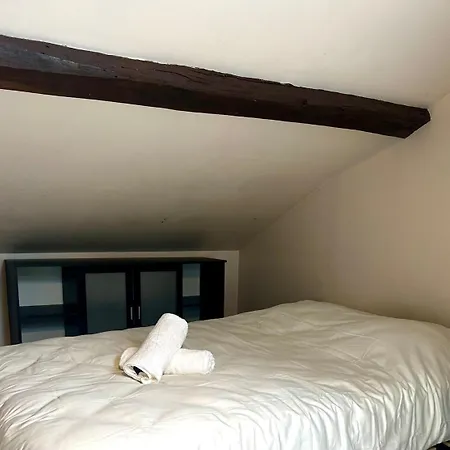 Le Holly - Centre Climatisé Apartamento Albi