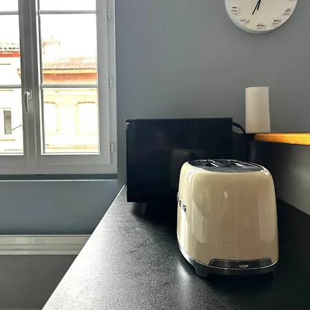 Le Holly - Centre Climatisé * Albi