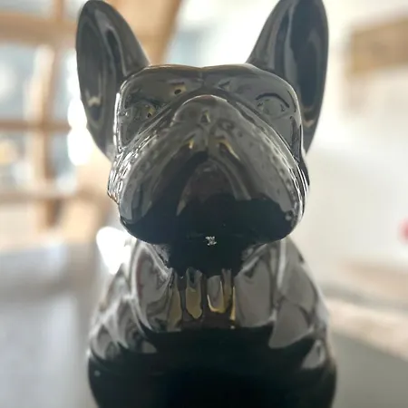 Le Holly - Centre Climatisé Apartamento *