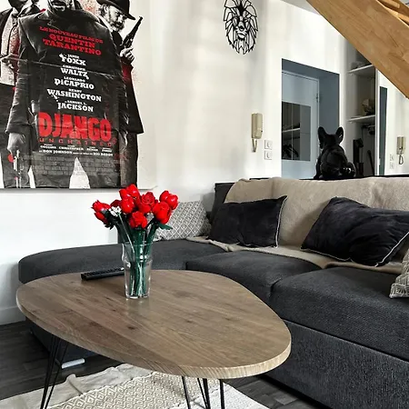 Le Holly - Centre Climatisé * Albi