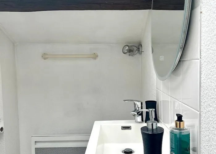 Le Holly - Centre Climatise Апартаменты Альби