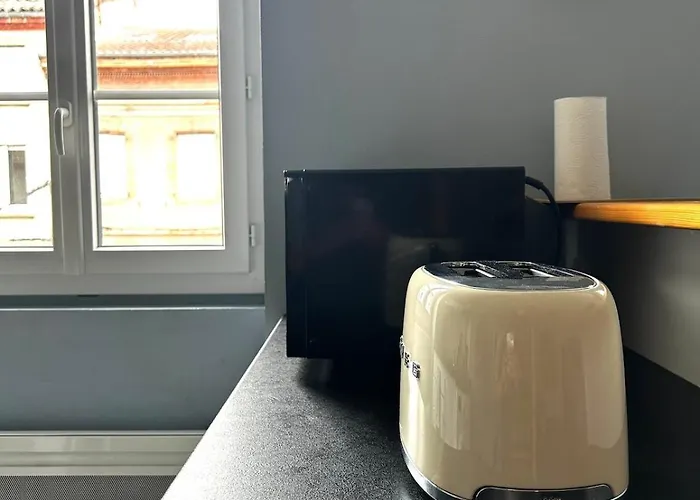 Le Holly - Centre Climatise * Альби