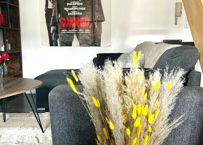 Le Holly - Centre Climatise Апартаменты Альби